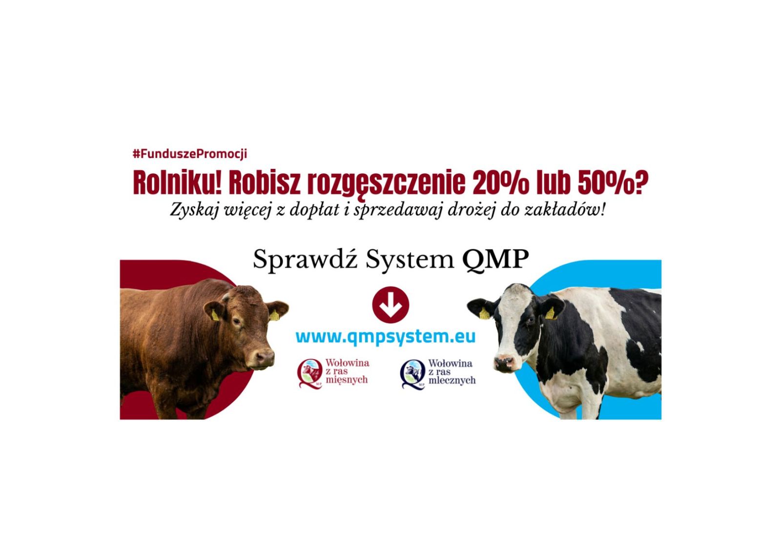 Zdjęcie: Ekoschemat „Dobrostan zwierząt” Dodatkowe pieniądze dla hodowców z QMP – tylko do 15 maja!