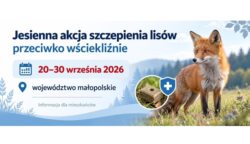 Zdjęcie: Szczepienie lisów przeciw wściekliźnie w województwie małopolskim
